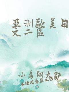 亚洲欧美日韩中文二区