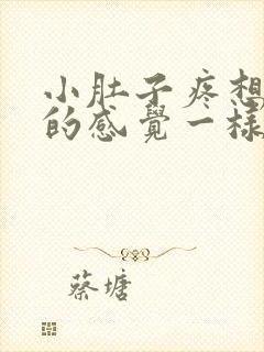 小肚子疼想拉屎的感觉一样怎么回事