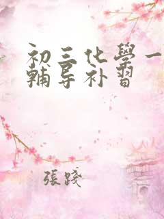 初三化学一对一辅导补习