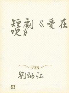 短剧《爱在晚风吹》