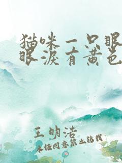 猫咪一只眼睛流眼泪有黄色分泌物