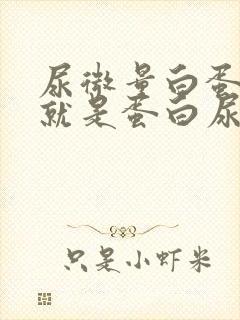 尿微量白蛋白高就是蛋白尿吗