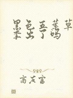 黑色五叶草第二季出了吗