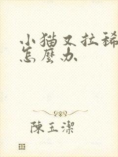 小猫又拉稀又吐怎么办