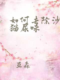 如何去除沙发上猫尿味