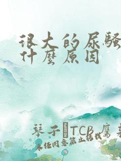 很大的尿骚味是什么原因