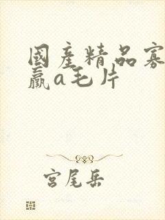 国产精品寡妇乱羸a毛片