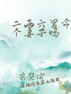 二两六男命有两个妻子吗