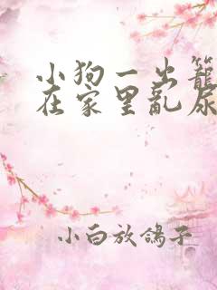 小狗一出笼子就在家里乱尿