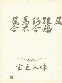 属马的跟属鸡的合不合婚