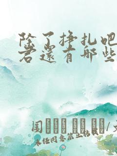 除了挣扎吧亚当君还有哪些