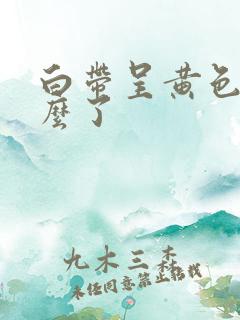 白带呈黄色是怎么了