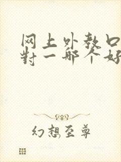 网上外教口语一对一哪个好