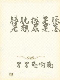 膀胱总是胀胀的老想尿是怎么回事