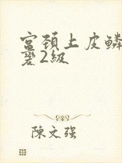 宫颈上皮鳞状病变2级