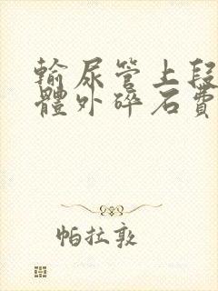 输尿管上段结石体外碎石费用多少