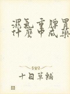 湿气重脾胃虚吃什么中成药