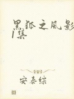 黑狐之风影第21集