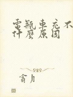 电瓶车充不进电什么原因