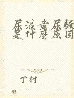 尿液黄尿骚味重是什么原因