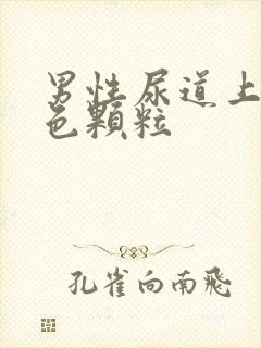 男性尿道上有白色颗粒