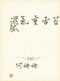 湿气重舌苔白厚腻