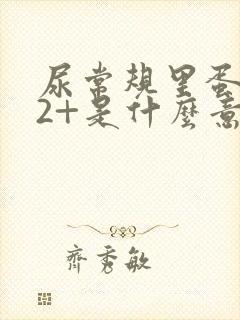 尿常规里蛋白质2+是什么意思