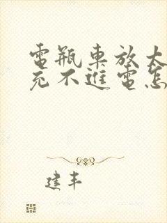 电瓶车放太久了充不进电怎么解决