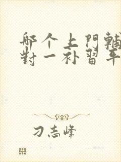 哪个上门辅导一对一补习平台好