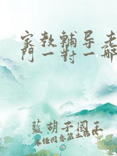 家教辅导老师上门一对一哪个平台找