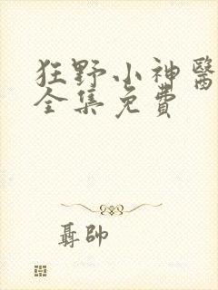 狂野小神医短剧全集免费