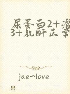 尿蛋白2+潜血3+肌酐正常