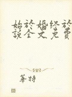 始于婚终于爱小说全文免费阅读