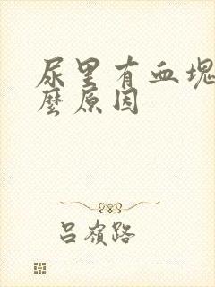 尿里有血块是什么原因