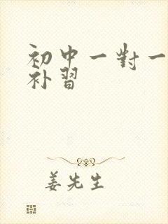 初中一对一历史补习