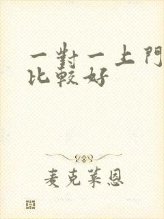 一对一上门辅导比较好