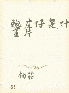 鲍皮仔是什么动画片