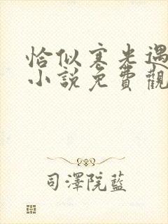 恰似寒光遇骄阳小说免费观看漫画