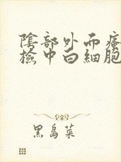 阴部外面瘙痒尿检中白细胞高