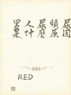 男人尿频尿等待是什么原因