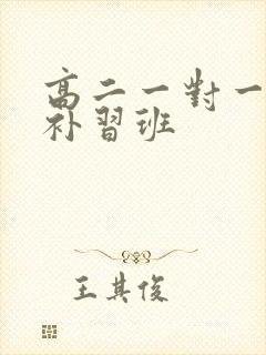 高二一对一英语补习班