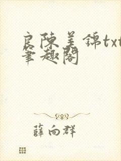 良陈美锦txt笔趣阁
