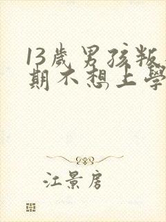 13岁男孩叛逆期不想上学怎么办