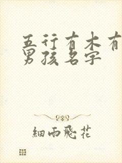 五行有木有水的男孩名字
