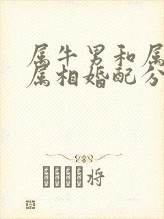 属牛男和属虎女属相婚配分析