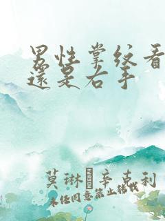 男性掌纹看左手还是右手