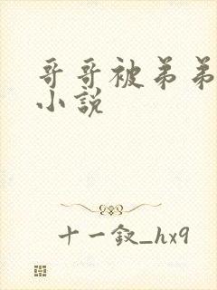 哥哥被弟弟折磨小说