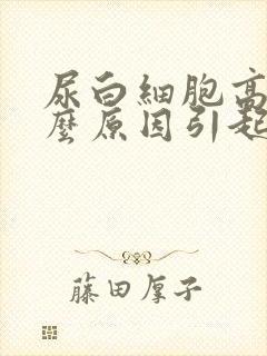 尿白细胞高是什么原因引起的