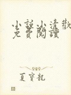 小说小清欢全文免费阅读