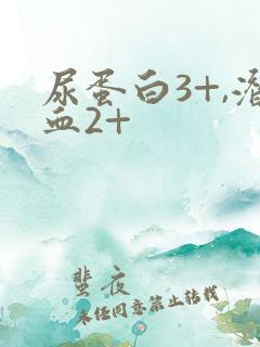 尿蛋白3+,潜血2+